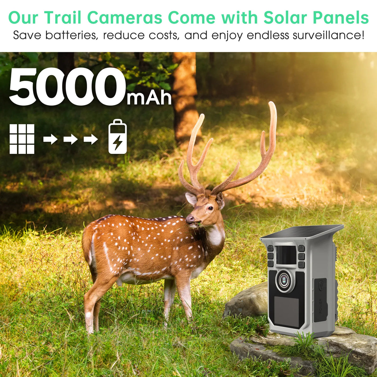 4K Solar WiFi Trail Camera With Night Vision Motion Detection