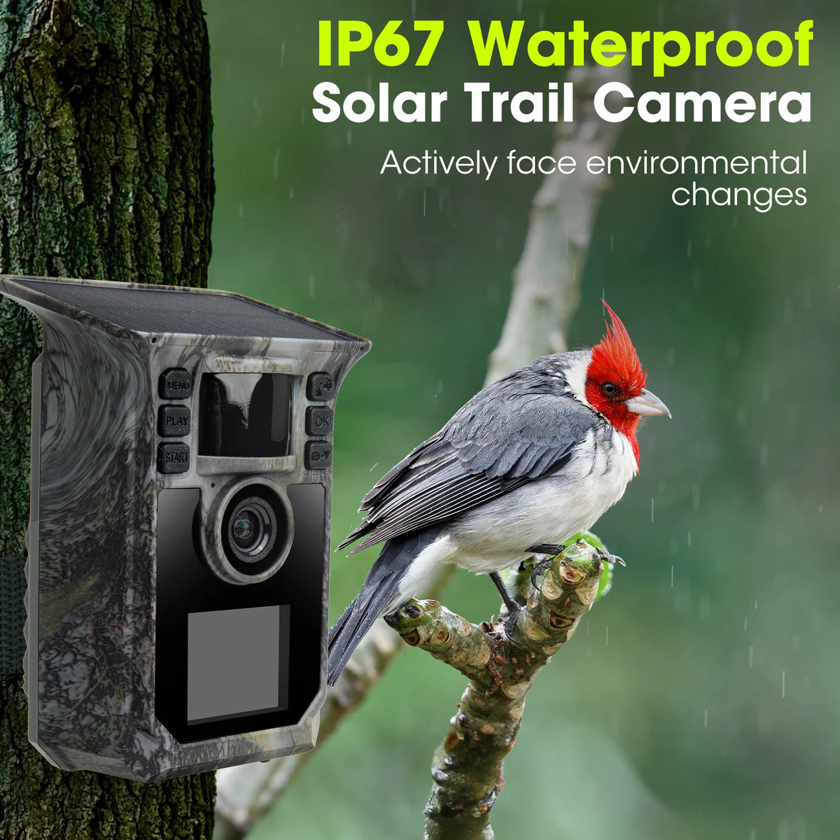 4K Solar Trail Camera With 64MP Night Vision Motion Activation
