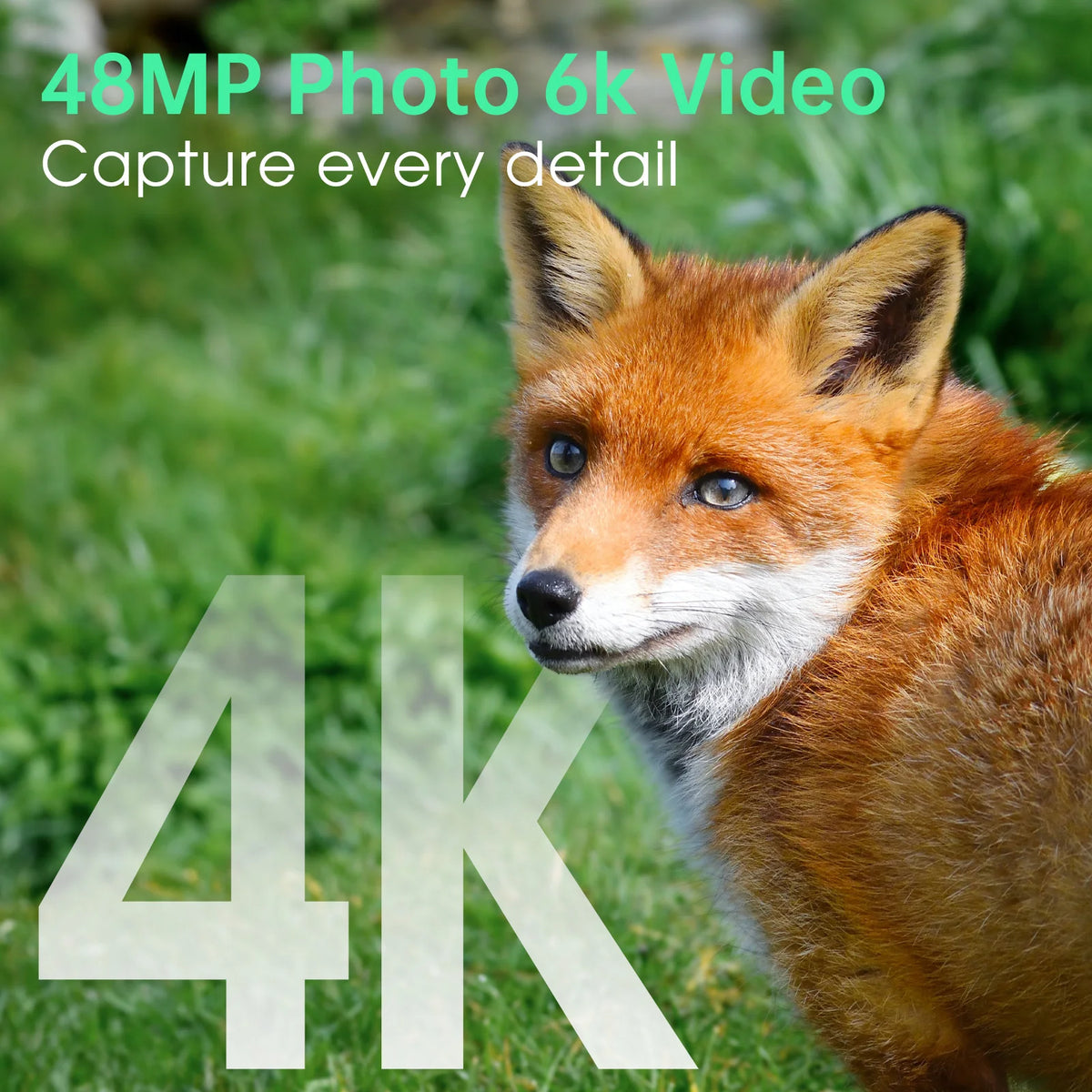 4K Solar WiFi Trail Camera With Night Vision Motion Detection