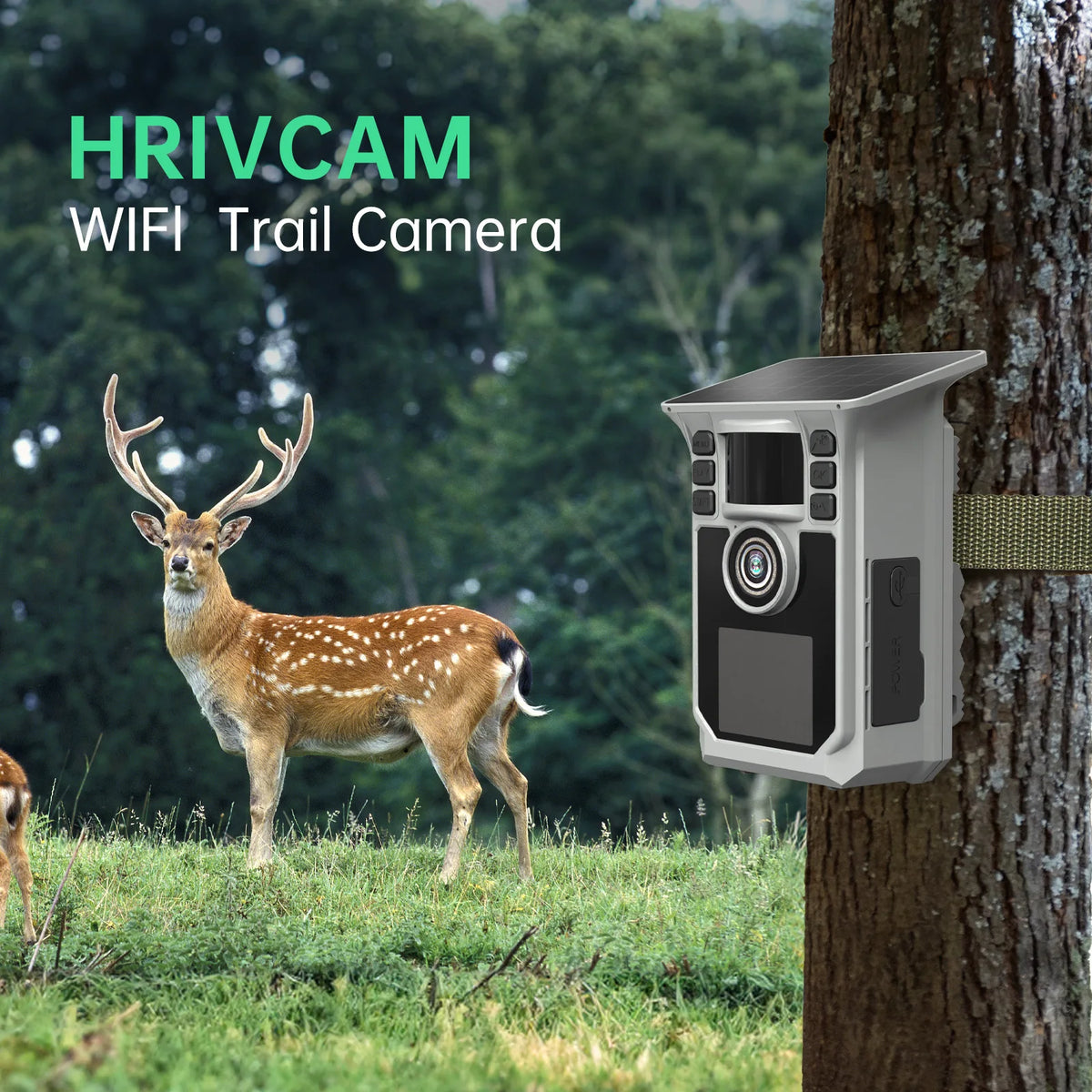 4K Solar WiFi Trail Camera With Night Vision Motion Detection