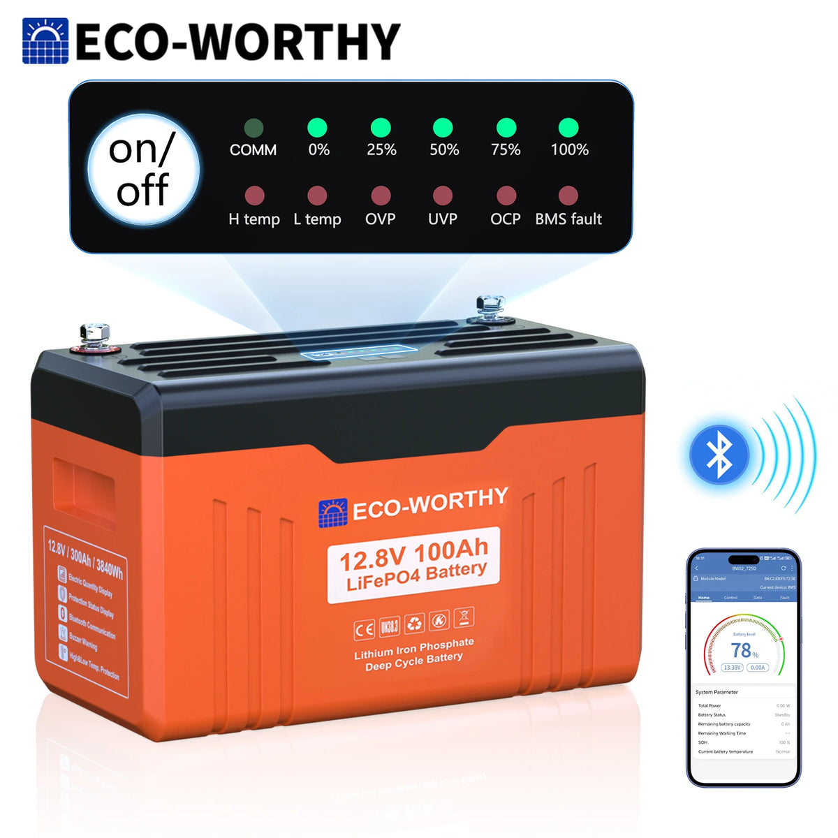 ECO-WORTHY LiFePO4 Lithium Battery With Bluetooth Connectivity