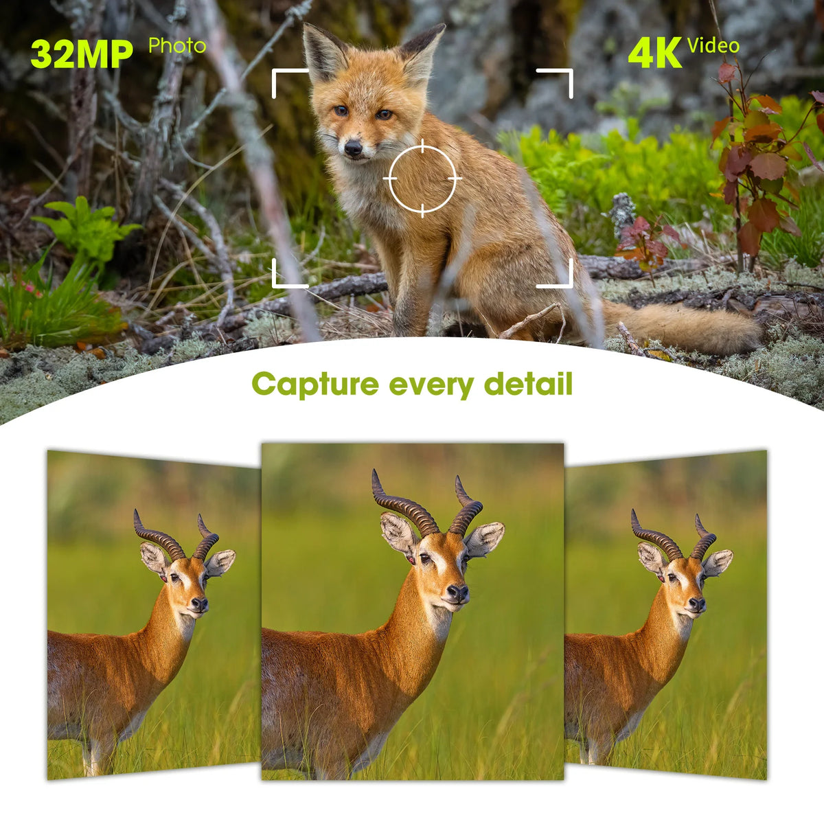 4K Solar Trail Camera With 64MP Night Vision Motion Activation