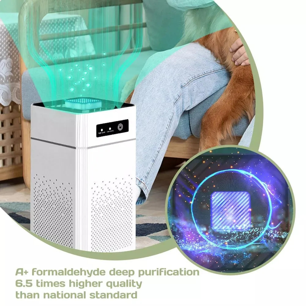 HEPA Air Purifier for Dust Smoke Odors and Pet Allergens