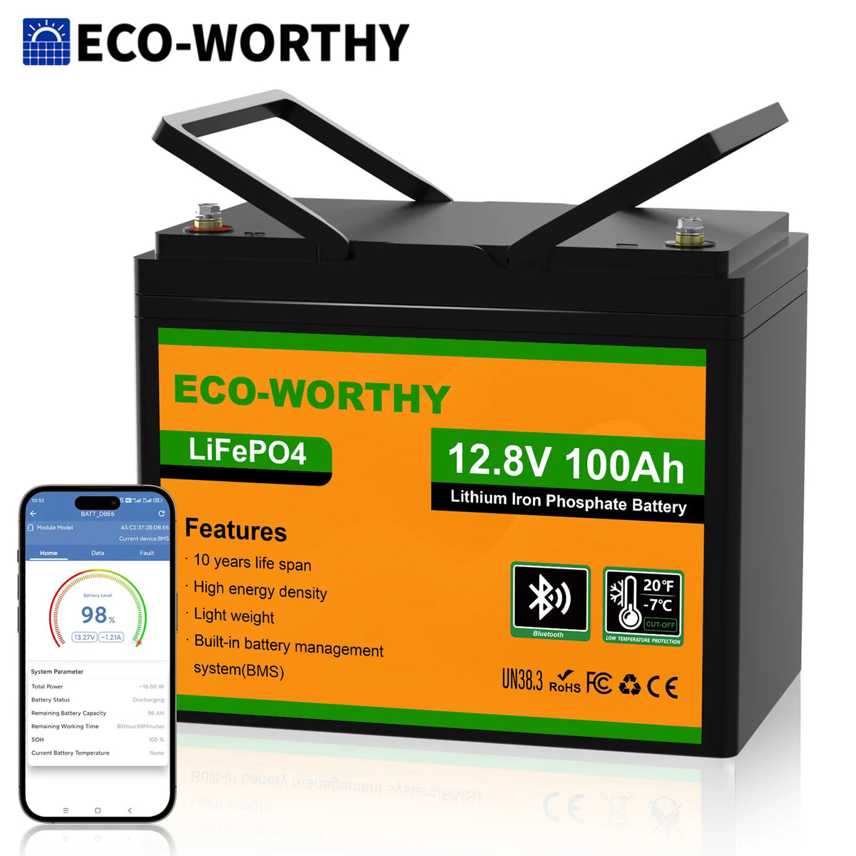 ECO-WORTHY LiFePO4 Lithium Battery With Bluetooth Connectivity