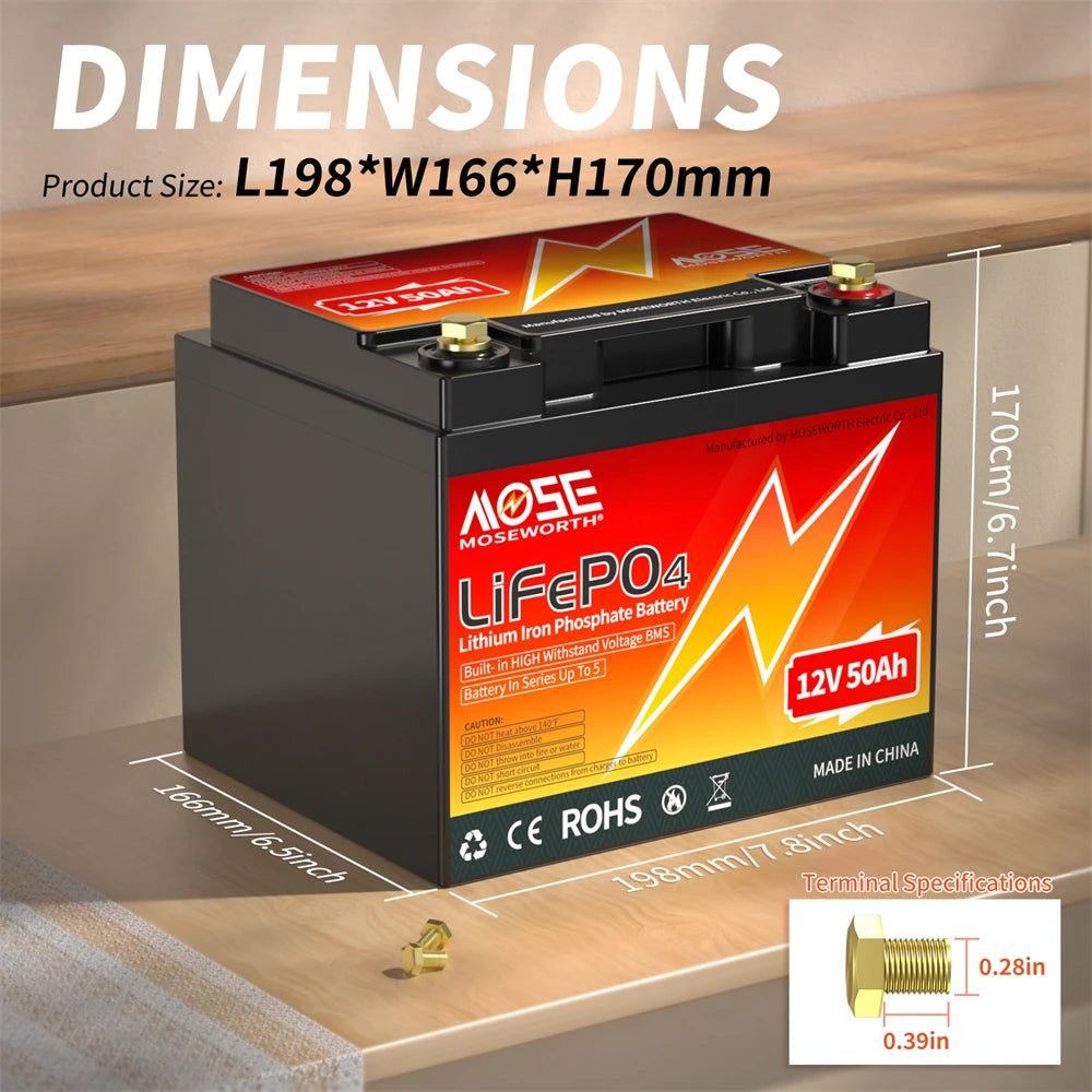 MOSEWORTH LiFePO4 Lithium Iron Phosphate Rechargeable Battery With BMS