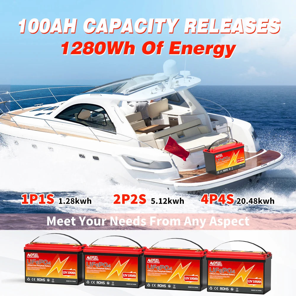 MOSEWORTH LiFePO4 Lithium Iron Phosphate Rechargeable Battery With BMS