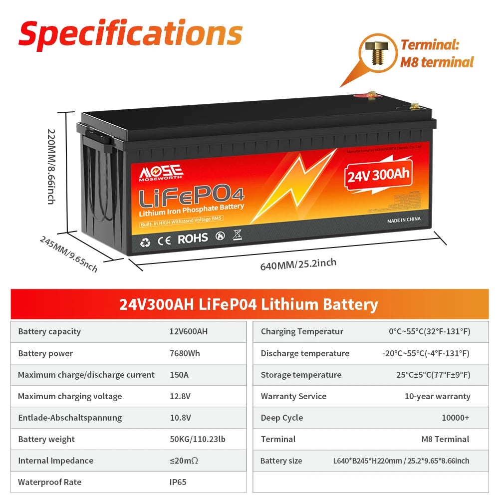 MOSEWORTH LiFePO4 Lithium Iron Phosphate Rechargeable Battery With BMS