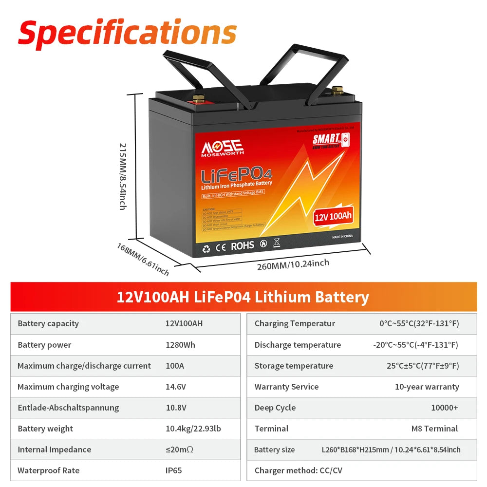MOSEWORTH LiFePO4 Lithium Iron Phosphate Rechargeable Battery With BMS