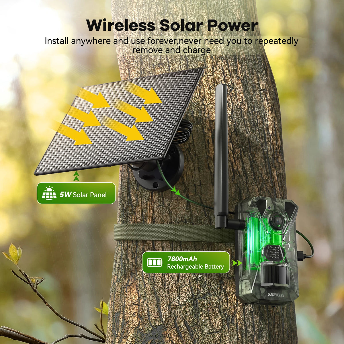 4G LTE Solar Wildlife Camera With App And Night Vision