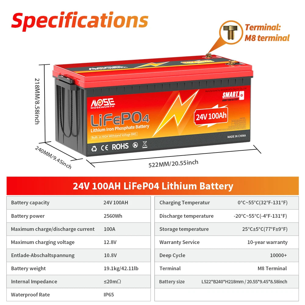 MOSEWORTH LiFePO4 Lithium Iron Phosphate Rechargeable Battery With BMS