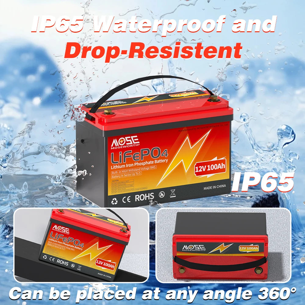 MOSEWORTH LiFePO4 Lithium Iron Phosphate Rechargeable Battery With BMS