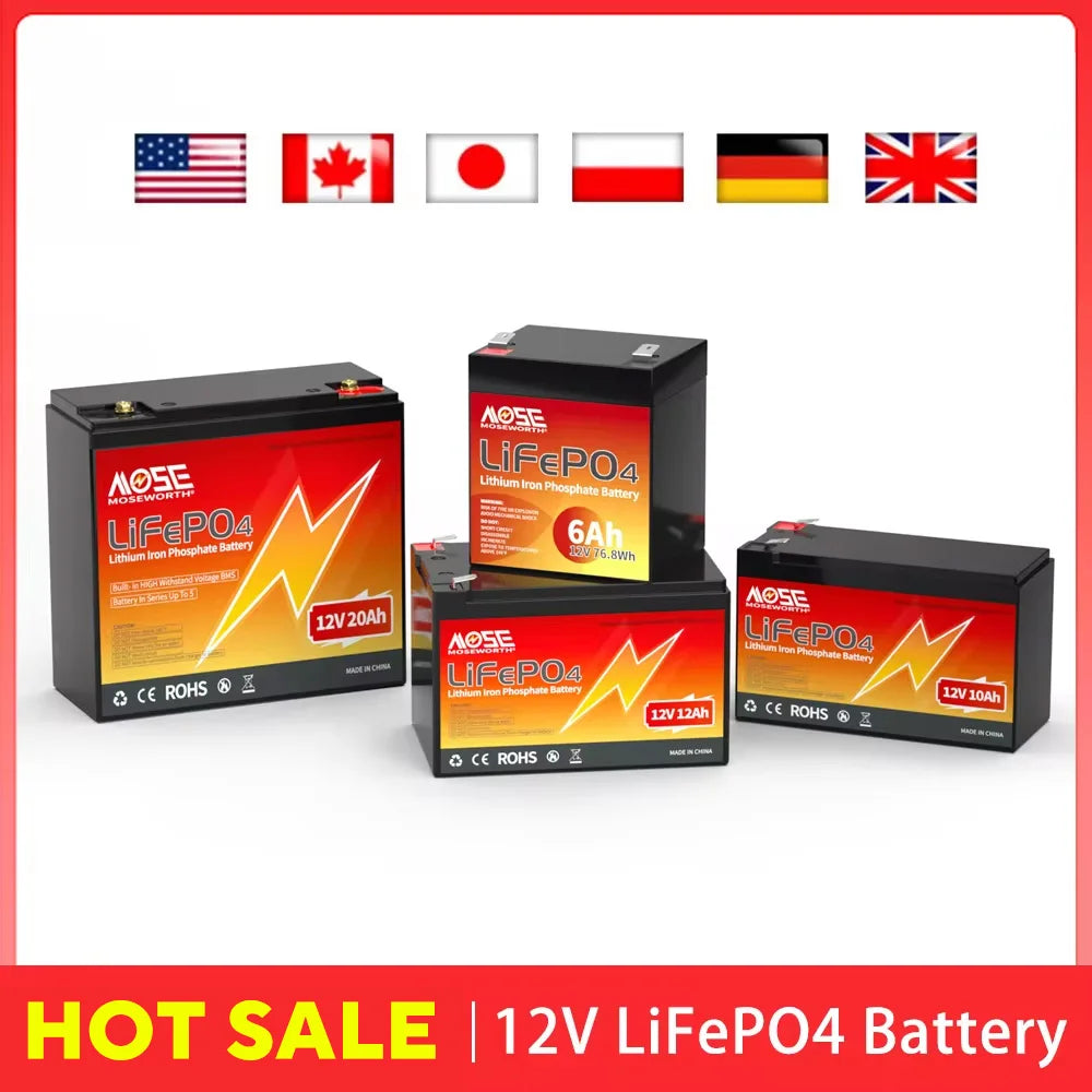 MOSEWORTH LiFePO4 Lithium Iron Phosphate Rechargeable Battery With BMS