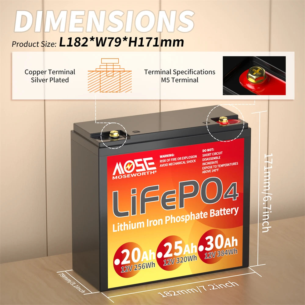 MOSEWORTH LiFePO4 Lithium Iron Phosphate Rechargeable Battery With BMS