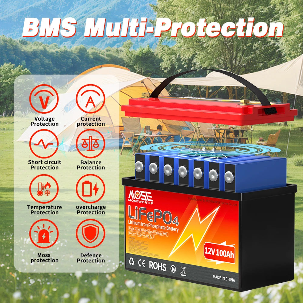 MOSEWORTH LiFePO4 Lithium Iron Phosphate Rechargeable Battery With BMS