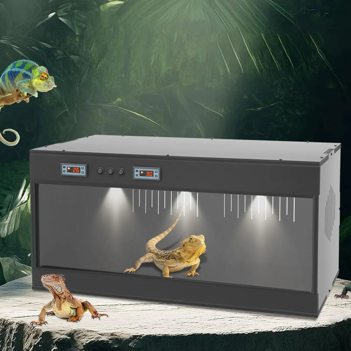 PVC Reptile Terrarium With Front Opening And Dual Temperature Control