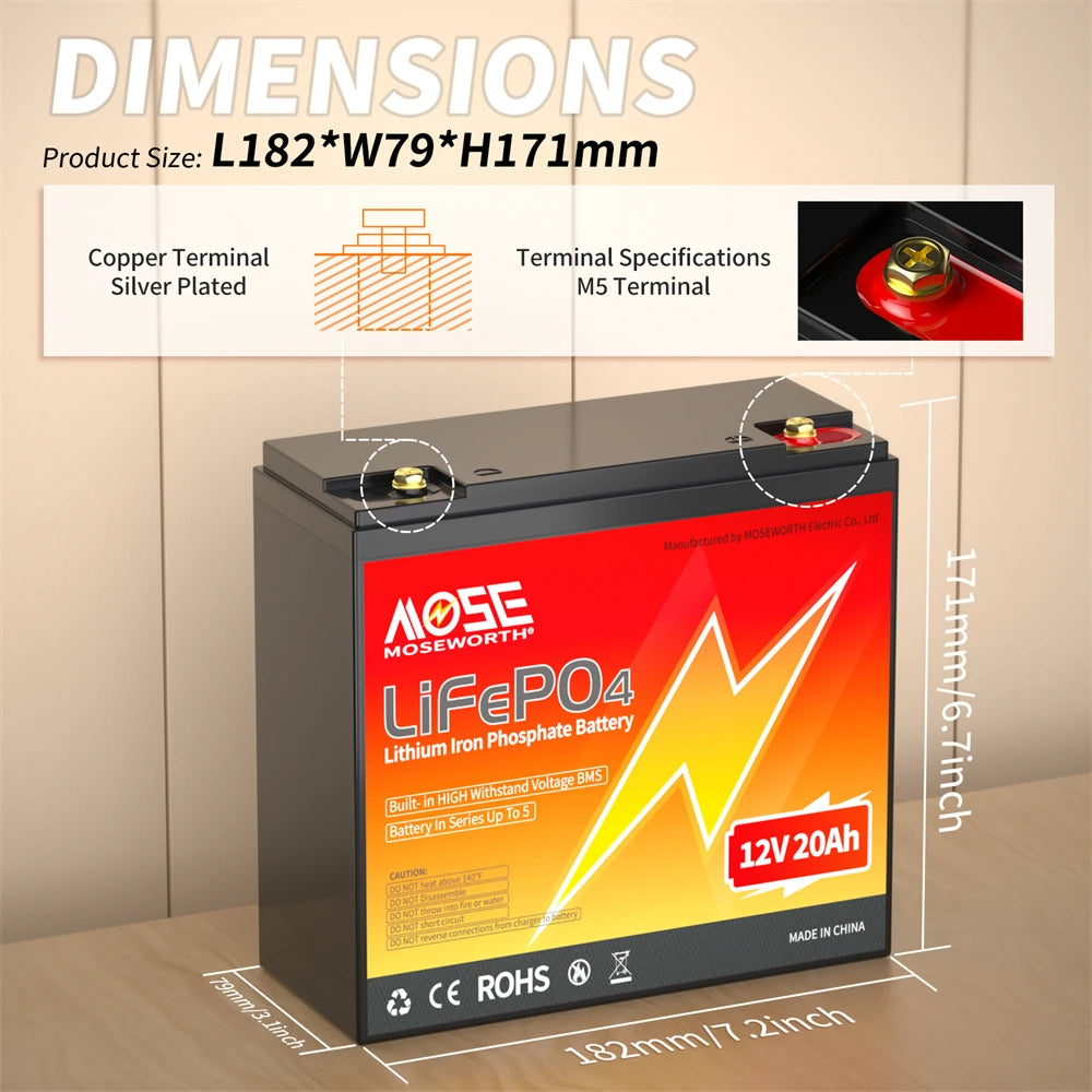 MOSEWORTH LiFePO4 Lithium Iron Phosphate Rechargeable Battery With BMS