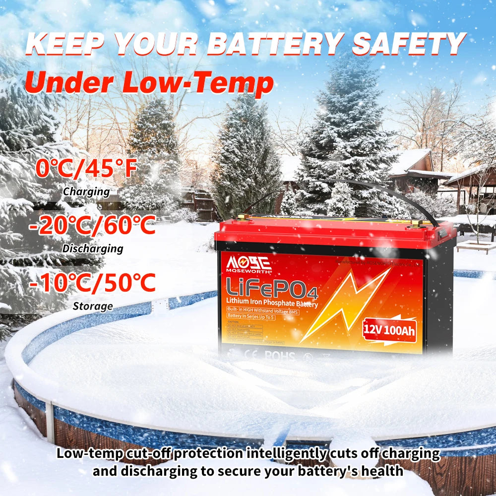 MOSEWORTH LiFePO4 Lithium Iron Phosphate Rechargeable Battery With BMS