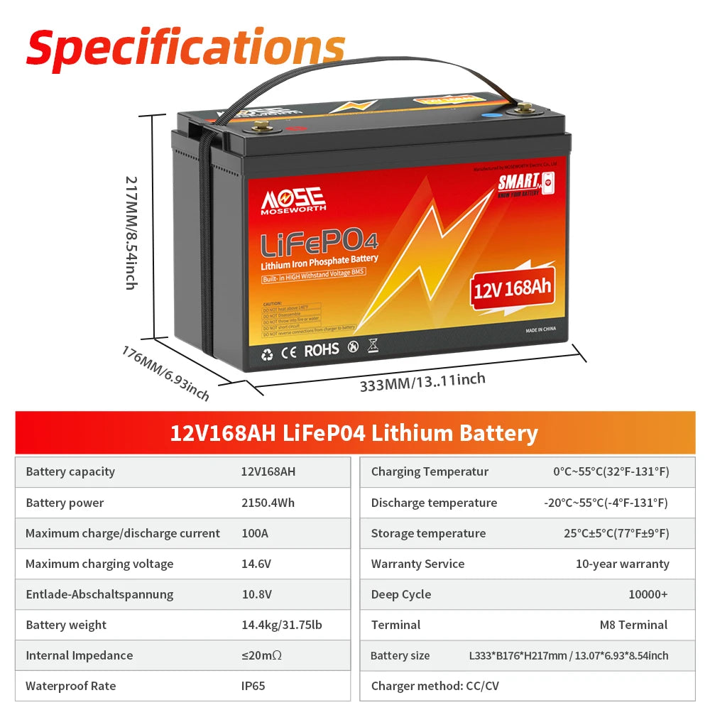 MOSEWORTH LiFePO4 Lithium Iron Phosphate Rechargeable Battery With BMS