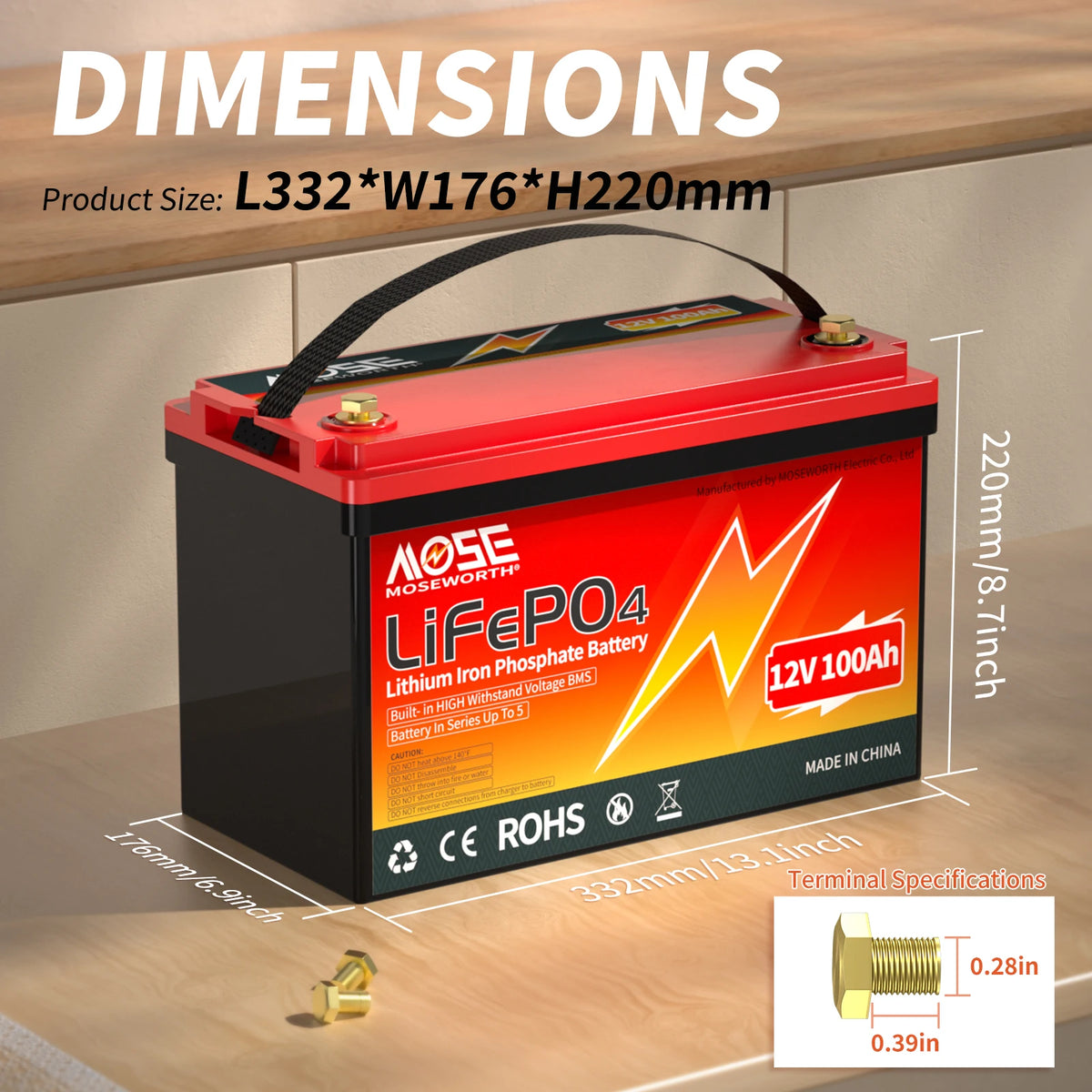 MOSEWORTH LiFePO4 Lithium Iron Phosphate Rechargeable Battery With BMS