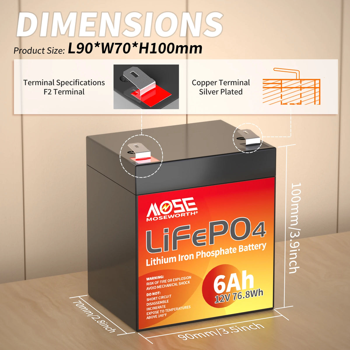 MOSEWORTH LiFePO4 Lithium Iron Phosphate Rechargeable Battery With BMS