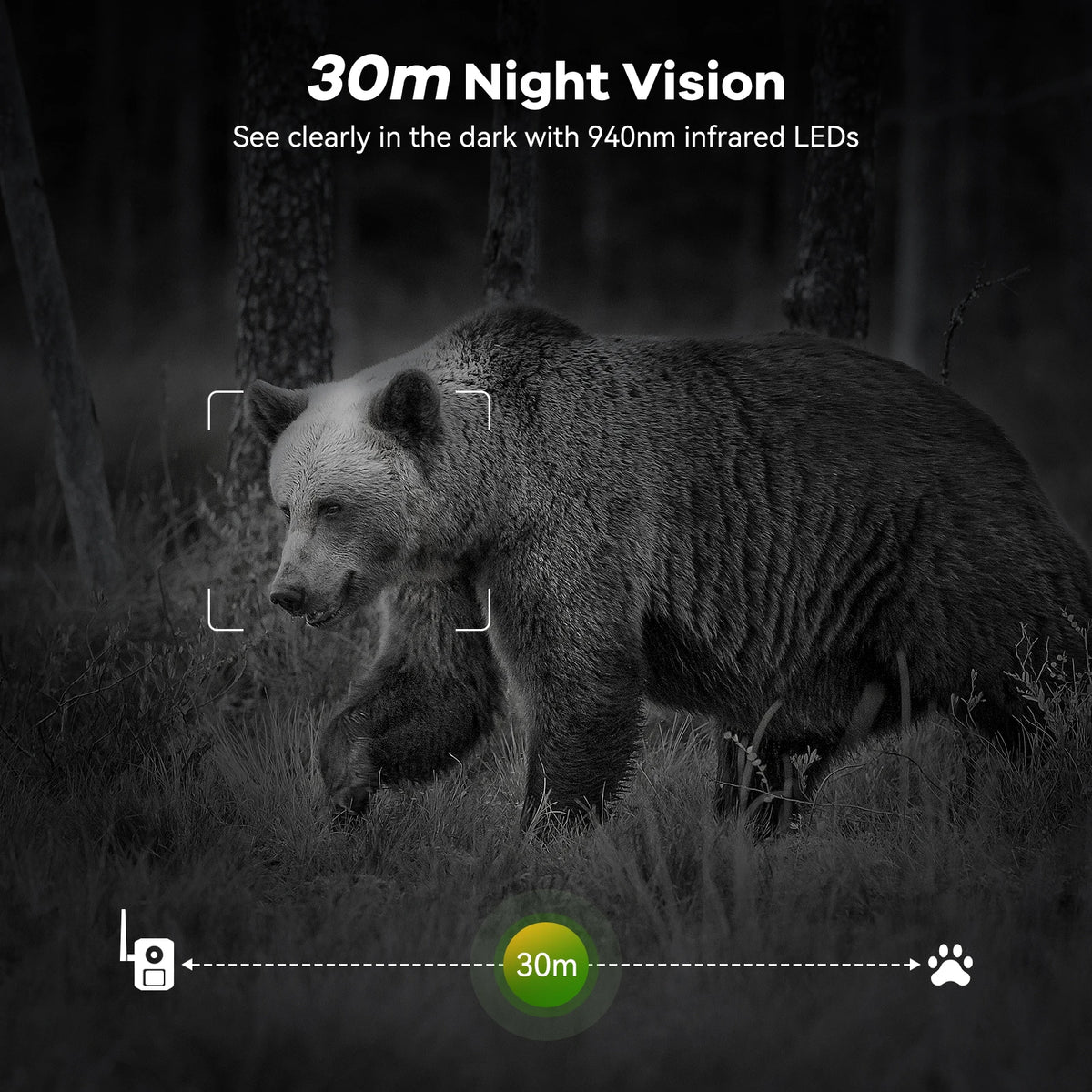 4G LTE Solar Wildlife Camera With App And Night Vision