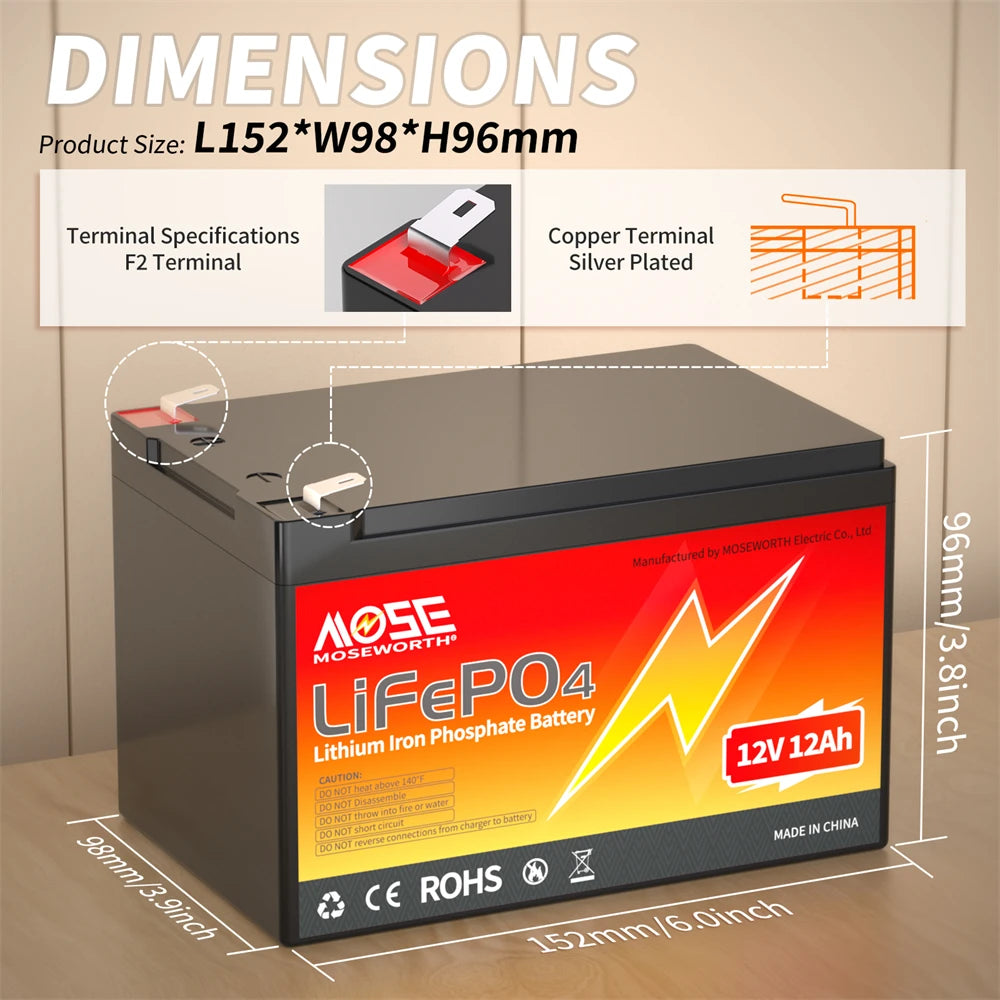 MOSEWORTH LiFePO4 Lithium Iron Phosphate Rechargeable Battery With BMS
