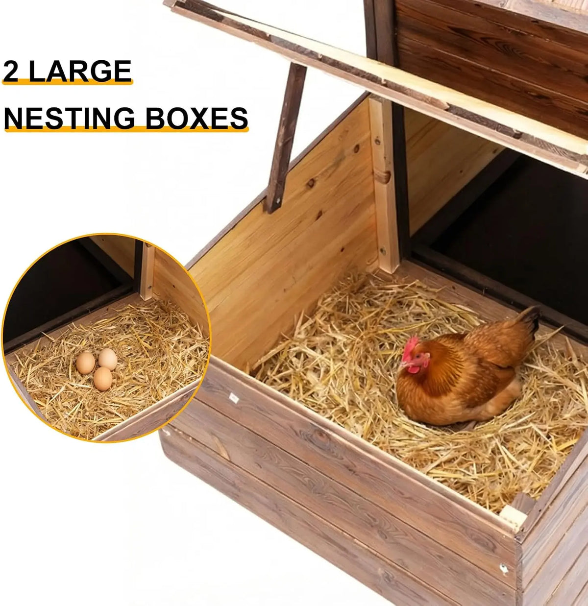 Wooden Chicken Coop With Nesting Boxes Ramp And Ventilated Window