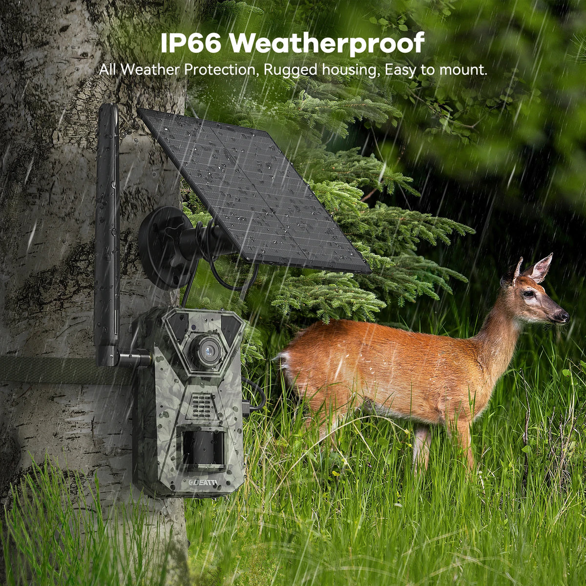 4G LTE Solar Wildlife Camera With App And Night Vision