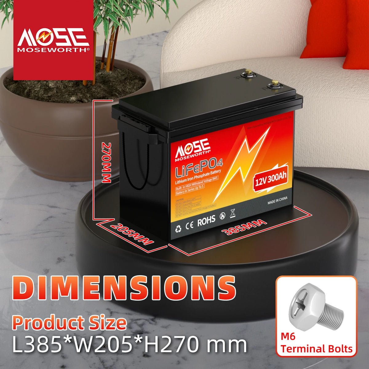MOSEWORTH LiFePO4 Lithium Iron Phosphate Rechargeable Battery With BMS