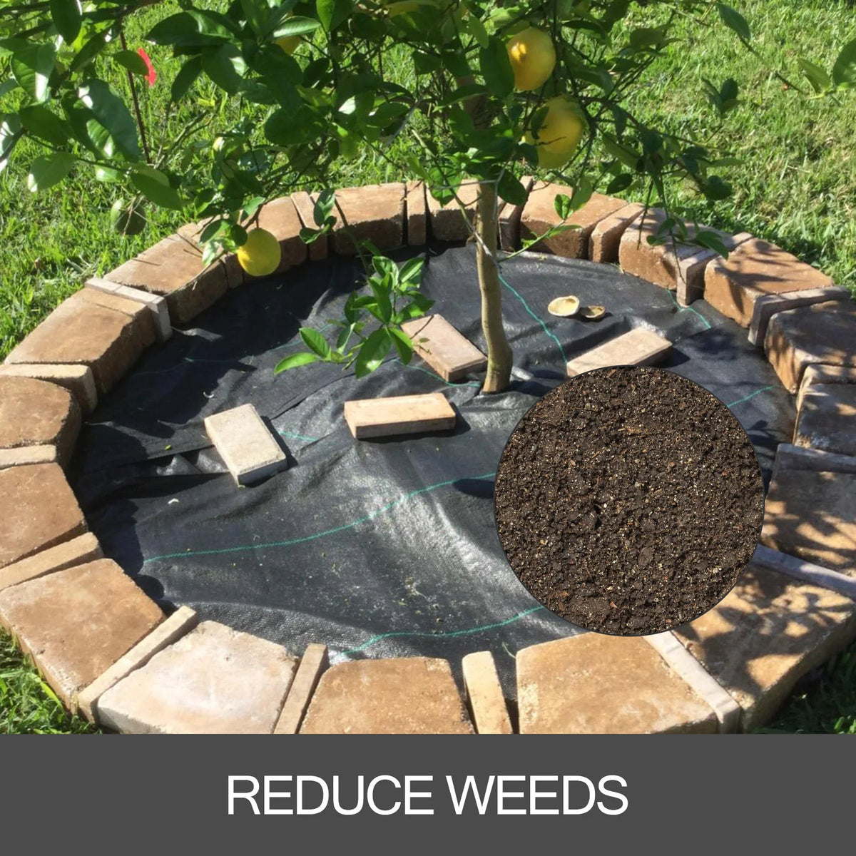SucceBuy Heavy Duty Woven Landscape Fabric Weed Barrier Ground Cover